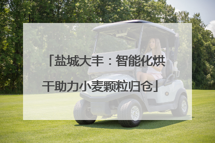 盐城大丰：智能化烘干助力小麦颗粒归仓