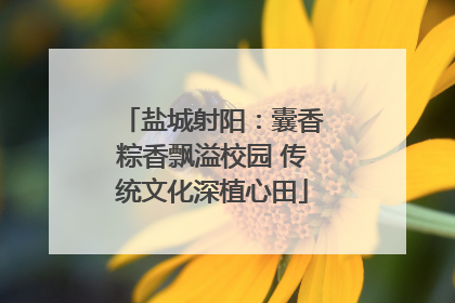 盐城射阳：囊香粽香飘溢校园 传统文化深植心田
