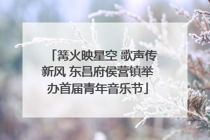 篝火映星空 歌声传新风 东昌府侯营镇举办首届青年音乐节