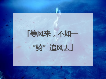 等风来，不如一“骑”追风去