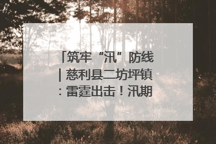 筑牢“汛”防线｜慈利县二坊坪镇：雷霆出击！汛期捕鱼被紧急叫停