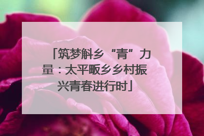 筑梦斛乡“青”力量：太平畈乡乡村振兴青春进行时