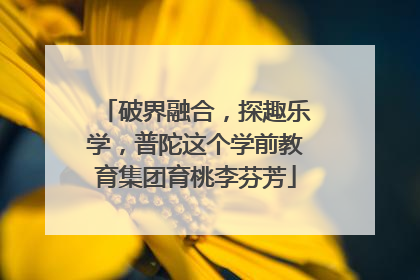 破界融合，探趣乐学，普陀这个学前教育集团育桃李芬芳