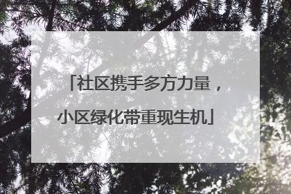 社区携手多方力量，小区绿化带重现生机
