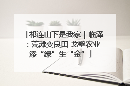 祁连山下是我家｜临泽：荒滩变良田 戈壁农业添“绿”生“金”