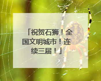 祝贺石狮！全国文明城市！连续三届！