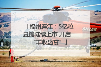 福州连江：5亿粒夏鲍陆续上市 开启“丰收盛宴”