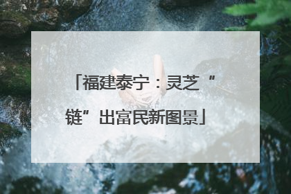 福建泰宁：灵芝“链”出富民新图景