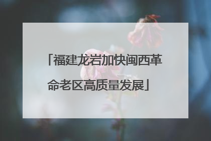 福建龙岩加快闽西革命老区高质量发展