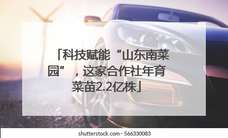 科技赋能“山东南菜园”，这家合作社年育菜苗2.2亿株