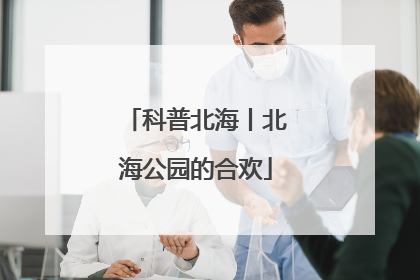 科普北海丨北海公园的合欢