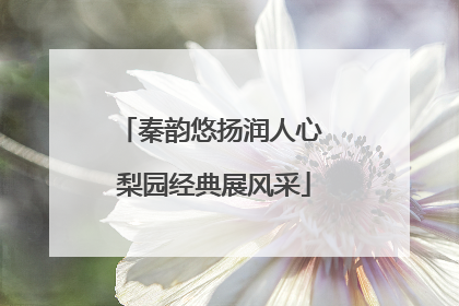 秦韵悠扬润人心 梨园经典展风采