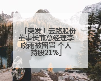 突发！云路股份董事长兼总经理李晓雨被留置 个人持股21%
