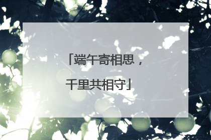 端午寄相思，千里共相守