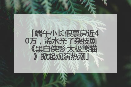 端午小长假票房近40万，浠水亲子杂技剧《黑白侠影·太极熊猫》掀起观演热潮