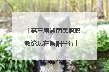 第三届湖南民盟职教论坛在衡阳举行