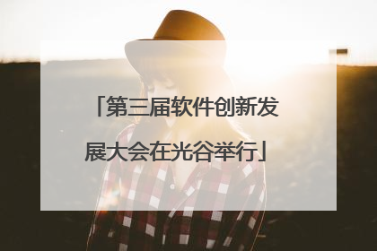 第三届软件创新发展大会在光谷举行