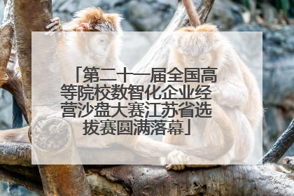 第二十一届全国高等院校数智化企业经营沙盘大赛江苏省选拔赛圆满落幕