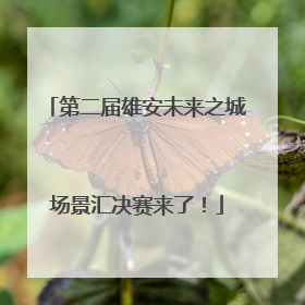 第二届雄安未来之城场景汇决赛来了！