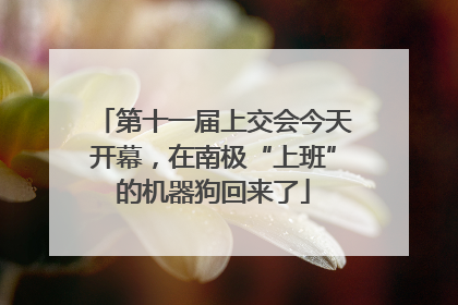 第十一届上交会今天开幕，在南极“上班”的机器狗回来了