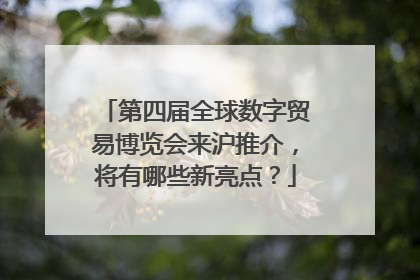 第四届全球数字贸易博览会来沪推介，将有哪些新亮点？