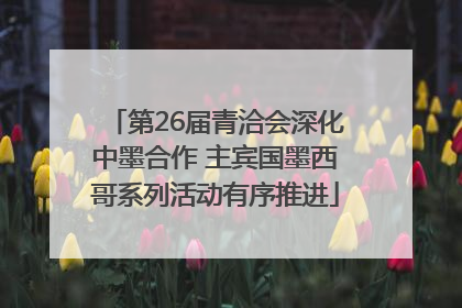 第26届青洽会深化中墨合作 主宾国墨西哥系列活动有序推进