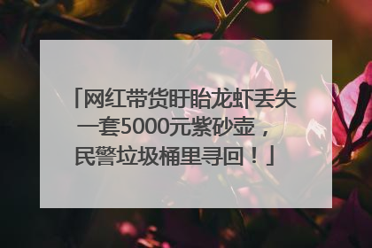 网红带货盱眙龙虾丢失一套5000元紫砂壶，民警垃圾桶里寻回！