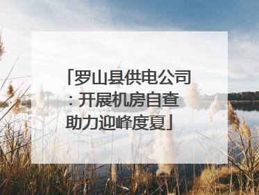 罗山县供电公司：开展机房自查 助力迎峰度夏
