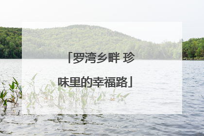 罗湾乡畔 珍味里的幸福路