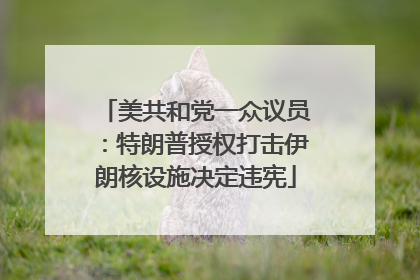 美共和党一众议员：特朗普授权打击伊朗核设施决定违宪