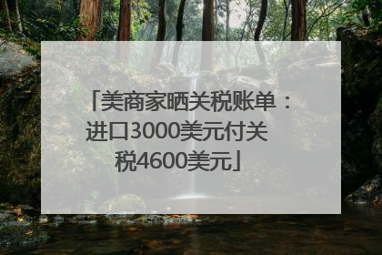 美商家晒关税账单：进口3000美元付关税4600美元