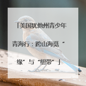 美国犹他州青少年青海行：跨山海觅“缘”与“纽带”