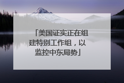 美国证实正在组建特别工作组，以监控中东局势