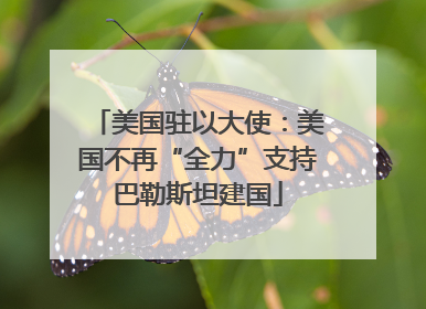 美国驻以大使：美国不再“全力”支持巴勒斯坦建国