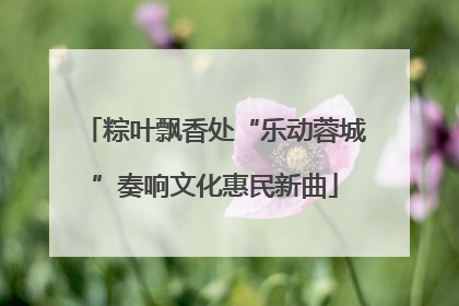粽叶飘香处“乐动蓉城”奏响文化惠民新曲