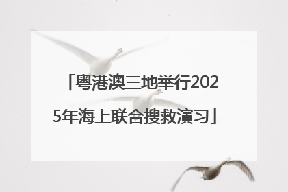 粤港澳三地举行2025年海上联合搜救演习