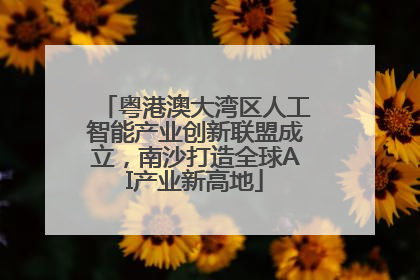 粤港澳大湾区人工智能产业创新联盟成立，南沙打造全球AI产业新高地