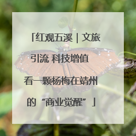 红观五溪｜文旅引流 科技增值 看一颗杨梅在靖州的“商业觉醒”