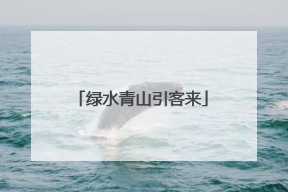 绿水青山引客来