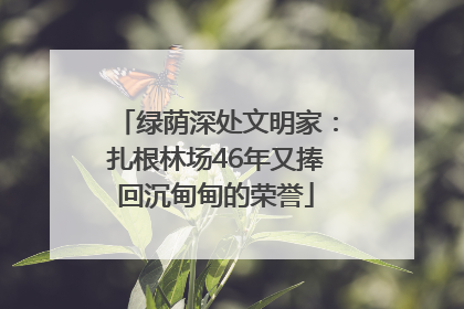 绿荫深处文明家：扎根林场46年又捧回沉甸甸的荣誉