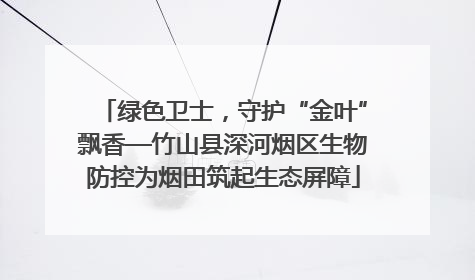绿色卫士，守护“金叶”飘香—竹山县深河烟区生物防控为烟田筑起生态屏障