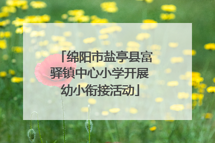 绵阳市盐亭县富驿镇中心小学开展幼小衔接活动
