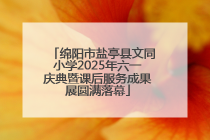 绵阳市盐亭县文同小学2025年六一庆典暨课后服务成果展圆满落幕