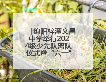 绵阳梓潼文昌中学举行2024级少先队离队仪式暨“六一”游园活动