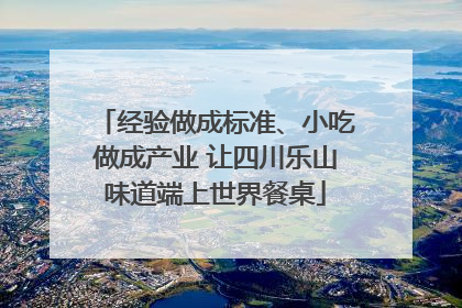 经验做成标准、小吃做成产业 让四川乐山味道端上世界餐桌