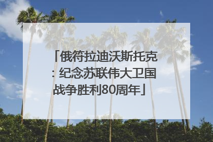 俄符拉迪沃斯托克：纪念苏联伟大卫国战争胜利80周年