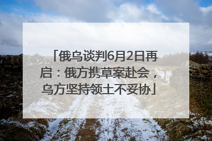 俄乌谈判6月2日再启：俄方携草案赴会，乌方坚持领土不妥协