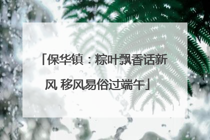 保华镇：粽叶飘香话新风 移风易俗过端午
