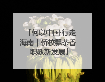 何以中国·行走海南｜侨校飘茶香 职教新发展