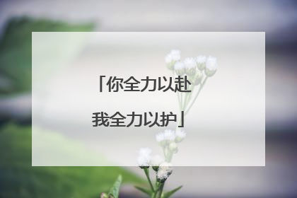 你全力以赴 我全力以护